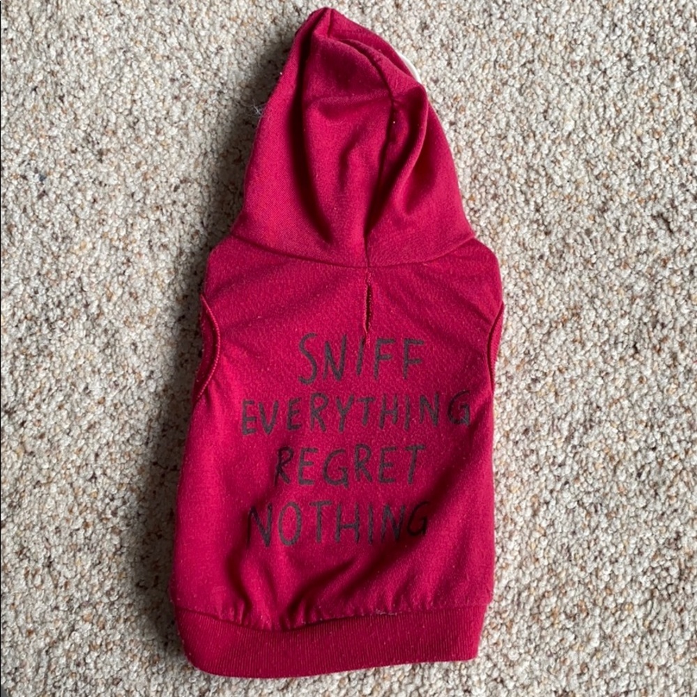 Dog hoodie